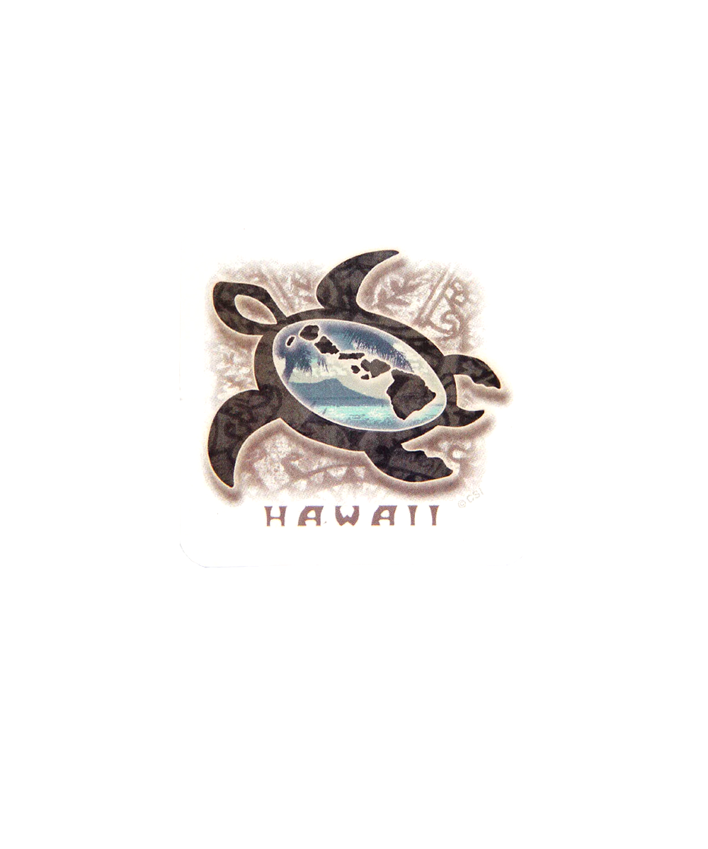 Turtle design with a beach scene inside, labeled 'Hawaii', on a white background