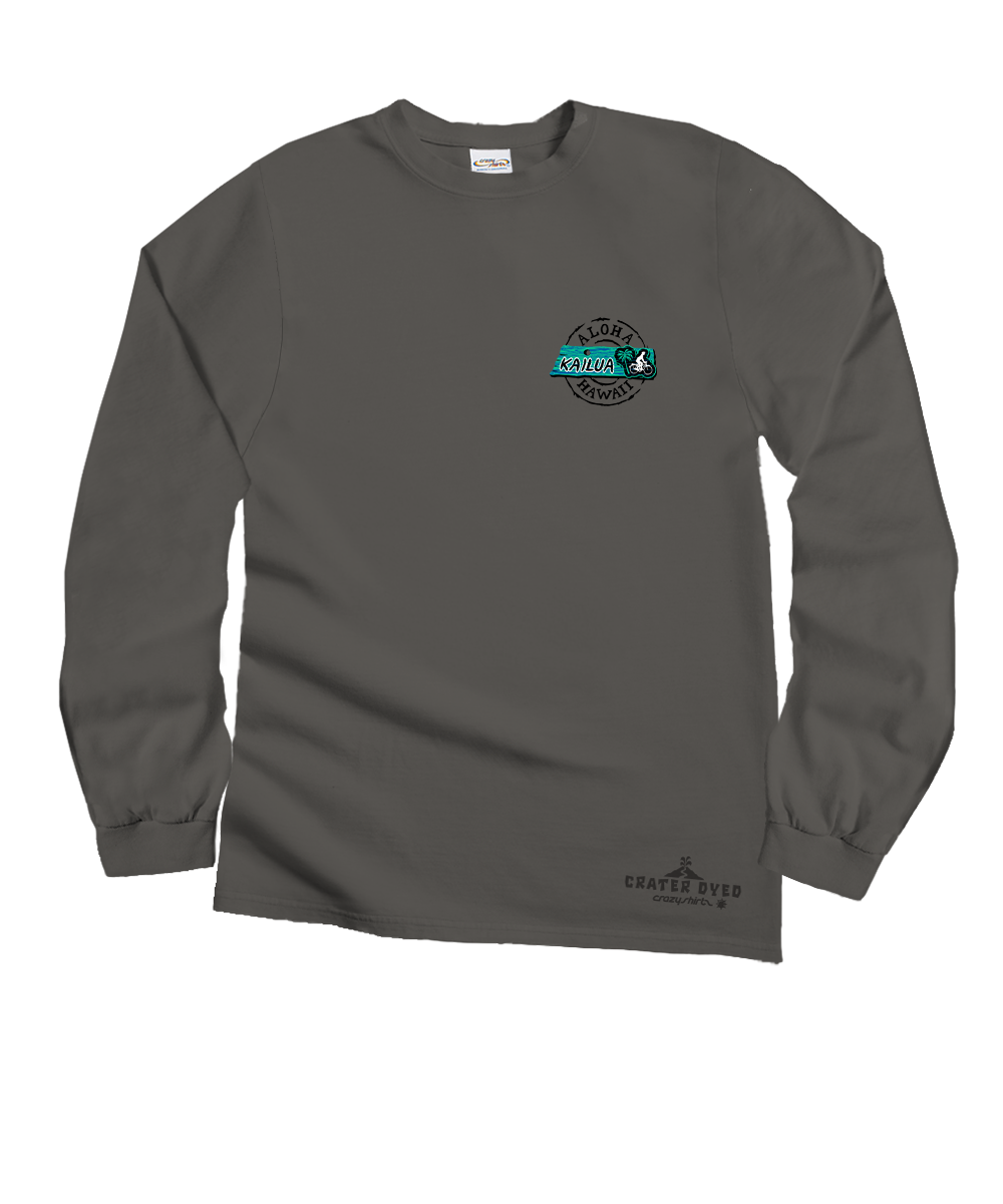 Gray long-sleeve shirt with a logo on a white background View 4
