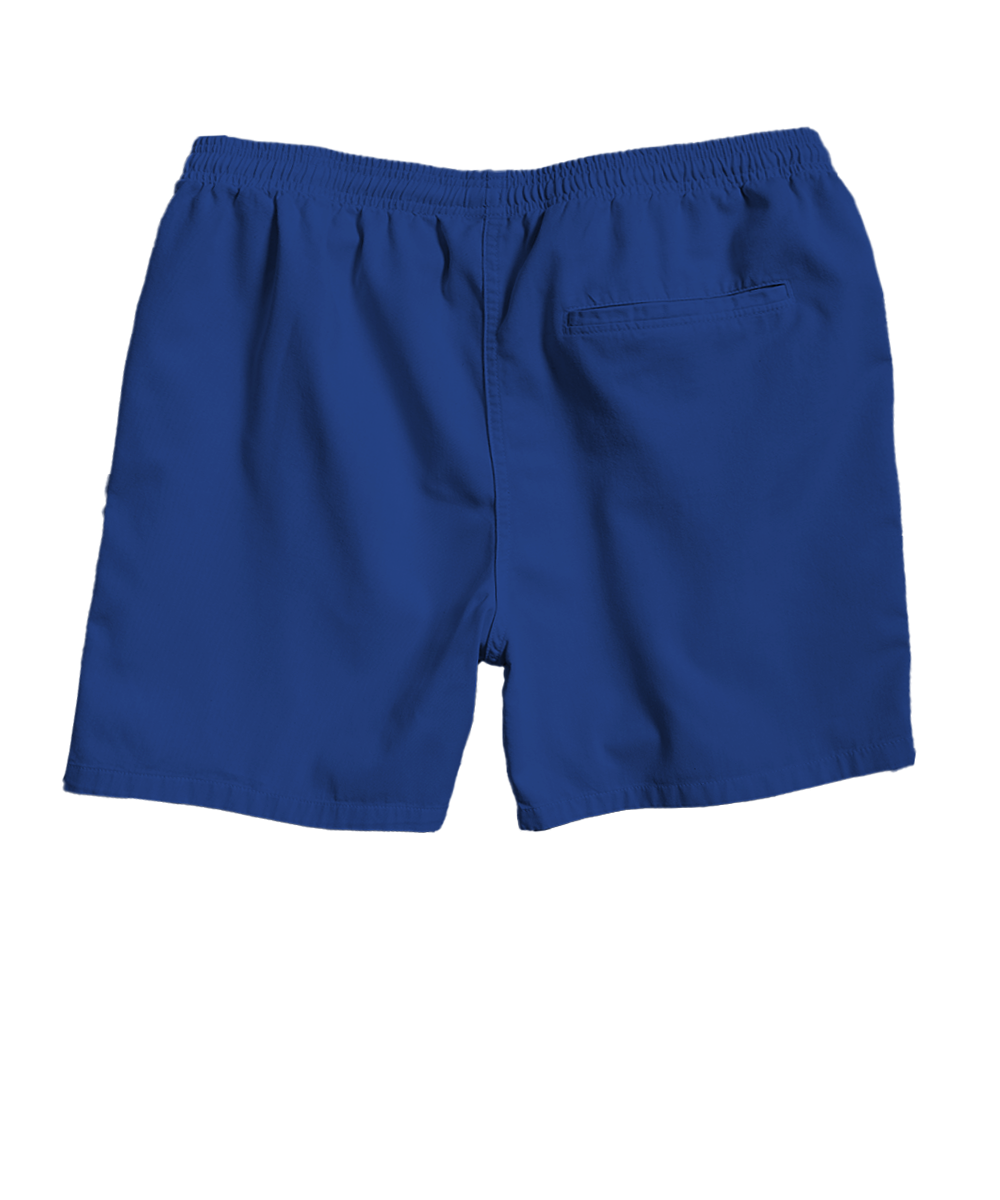 Blueberry Dyed Crazyshorts® Twill Shorts