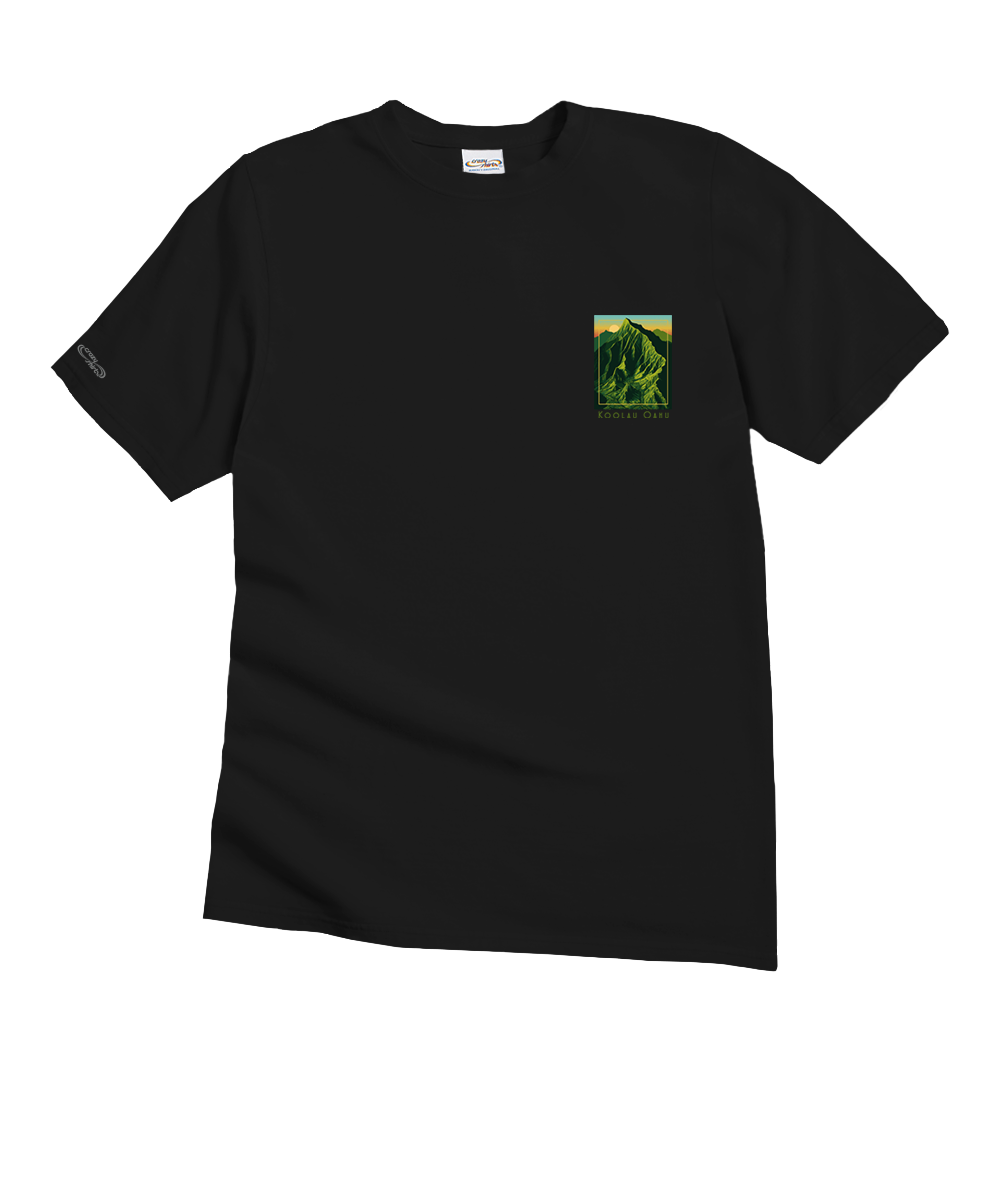 Black t-shirt with a small green graphic on the chest on a white background View 4