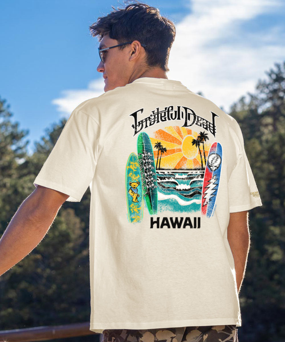 A person wearing a short sleeve crewneck t-shirt with 'Grateful Dead Surfboards - Hawaii' text and colorful surfboard design on the back. View 2