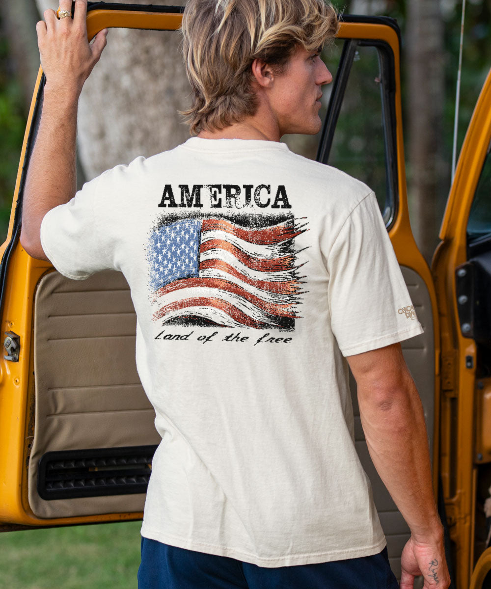 A person standing beside a vehicle wearing a beige short sleeve crewneck t-shirt with a graphic of the American flag and the text 'AMERICA Land of the Free' on the back. View 2