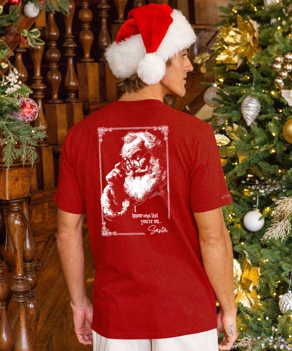 A man wearing a red Santa hat and a red t-shirt with a white graphic of Santa on the back, standing in front of a decorated Christmas tree and wooden staircase.