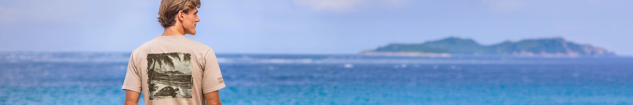 Person standing on a beach looking at the ocean with an island in the distance.