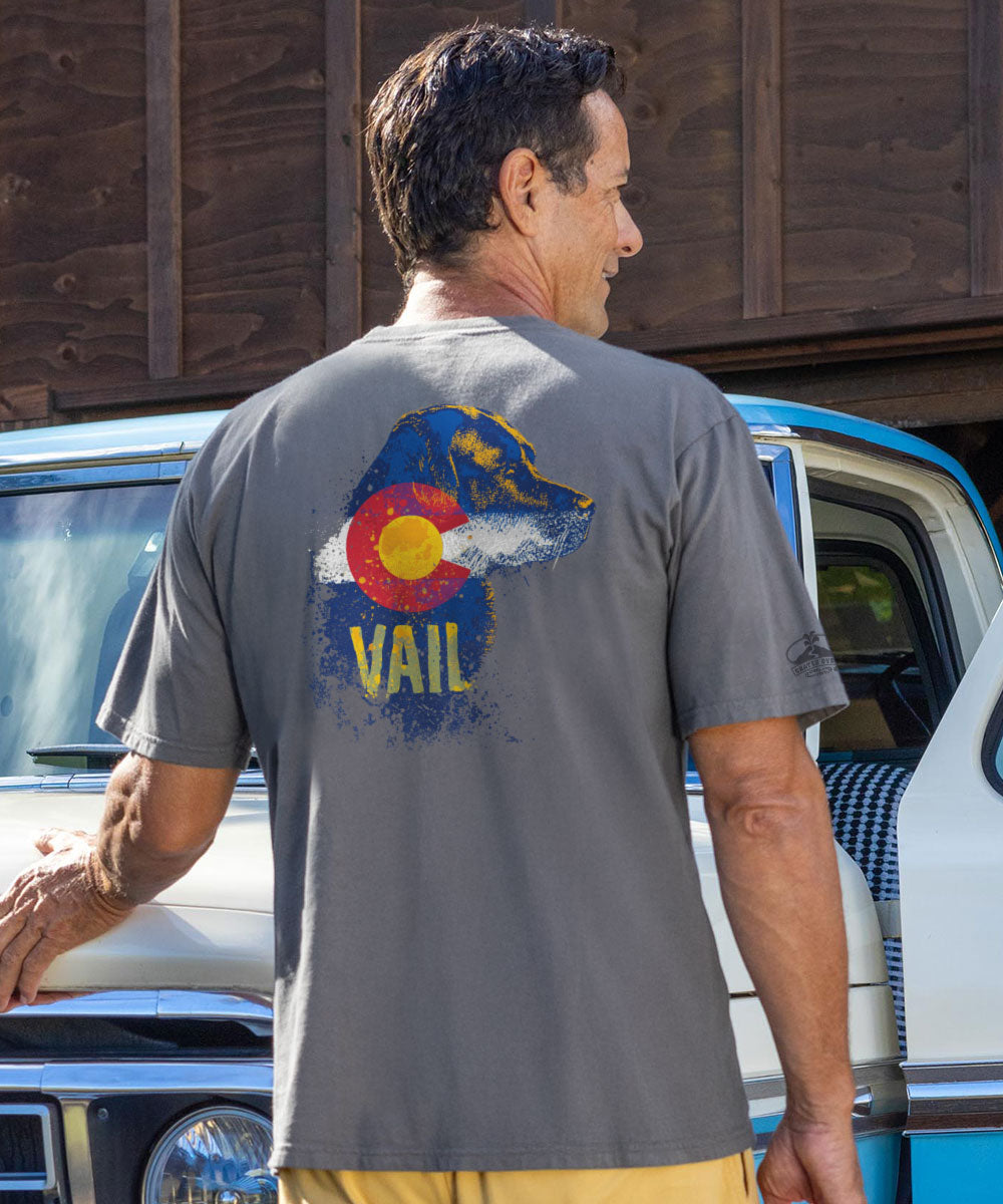 Man wearing a gray t-shirt with a Colorado flag and 'Vail' text, standing next to a vehicle. View 2