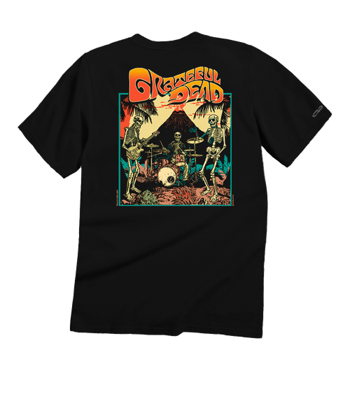 Grateful Dead Tシャツ Lサイズ ブラック Grateful Dead tシャツ GRATEFUL DEAD グレイトフルデッド