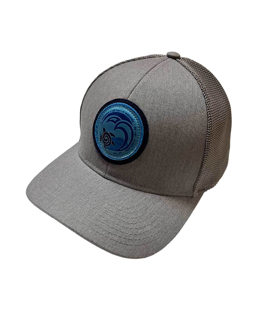 Gray cap with a blue circular logo on a white background View 1