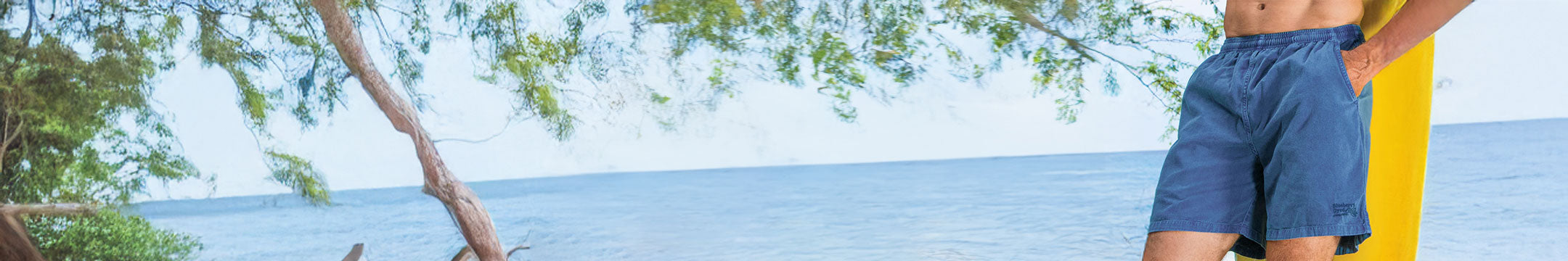 Person wearing blue shorts standing by a beach with trees and water in the background