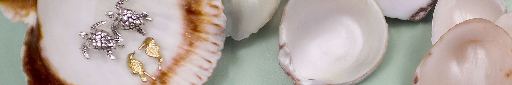 Three pairs of earrings on seashells with a light green background