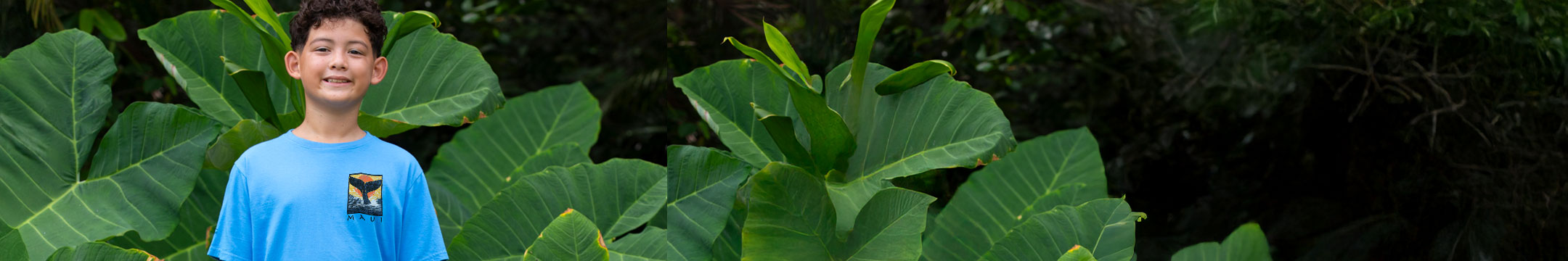 Kid wearing a Blue Hawaii Dyed Crazy Shirt tee standing in front of large green leaves