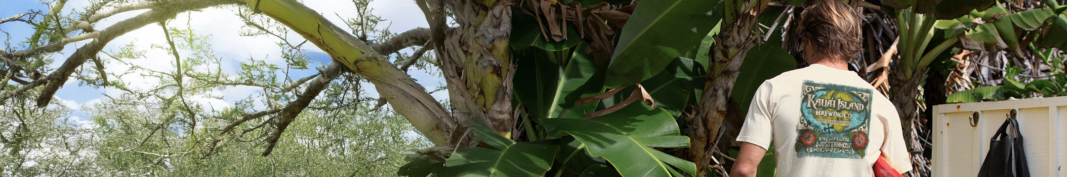 Person wearing a white t-shirt with a colorful design, standing in a natural setting with trees and plants.
