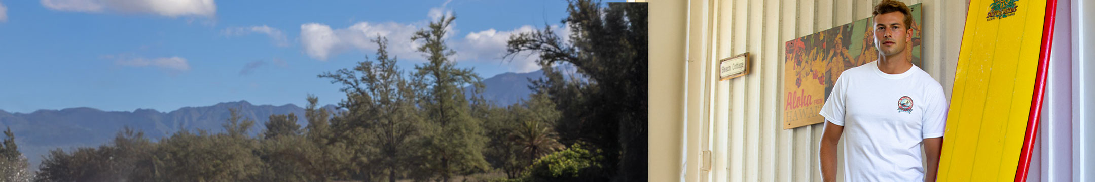 Person standing next to a surfboard with a crazy shirt t-shirt, with a scenic background of trees and mountains.