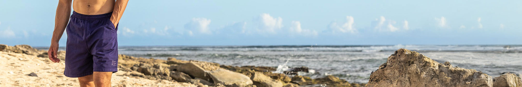 Person wearing purple shorts standing on a rocky beach with ocean and sky in the background