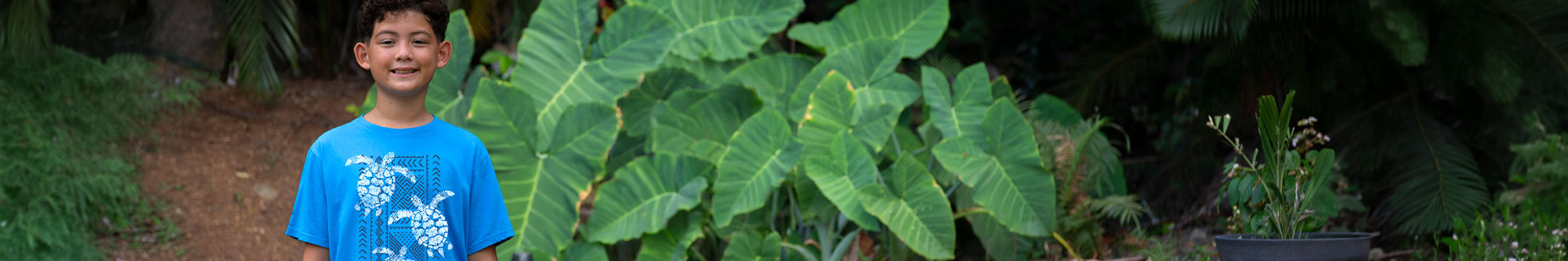 A young boy wearing a bright blue t-shirt with a white turtle graphic print, standing in front of a lush background of large green tropical leaves.