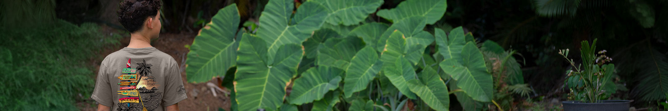 A boy wearing a gray t-shirt with a colorful graphic print on the back, standing in a lush green garden with large tropical leaves.