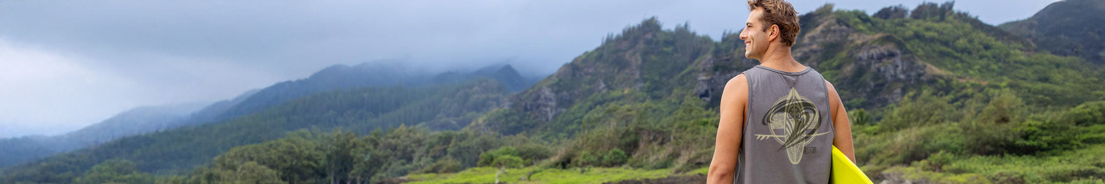 Person standing in a scenic landscape with mountains and greenery