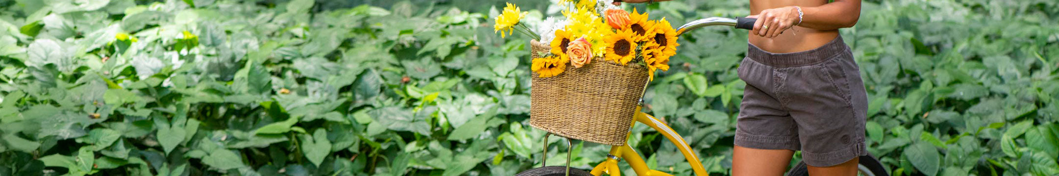 Person with a basket of sunflowers standing next to a bicycle in a garden.