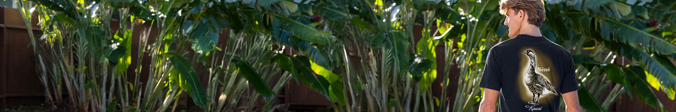 Person wearing a black t-shirt with a graphic design standing among banana plants.