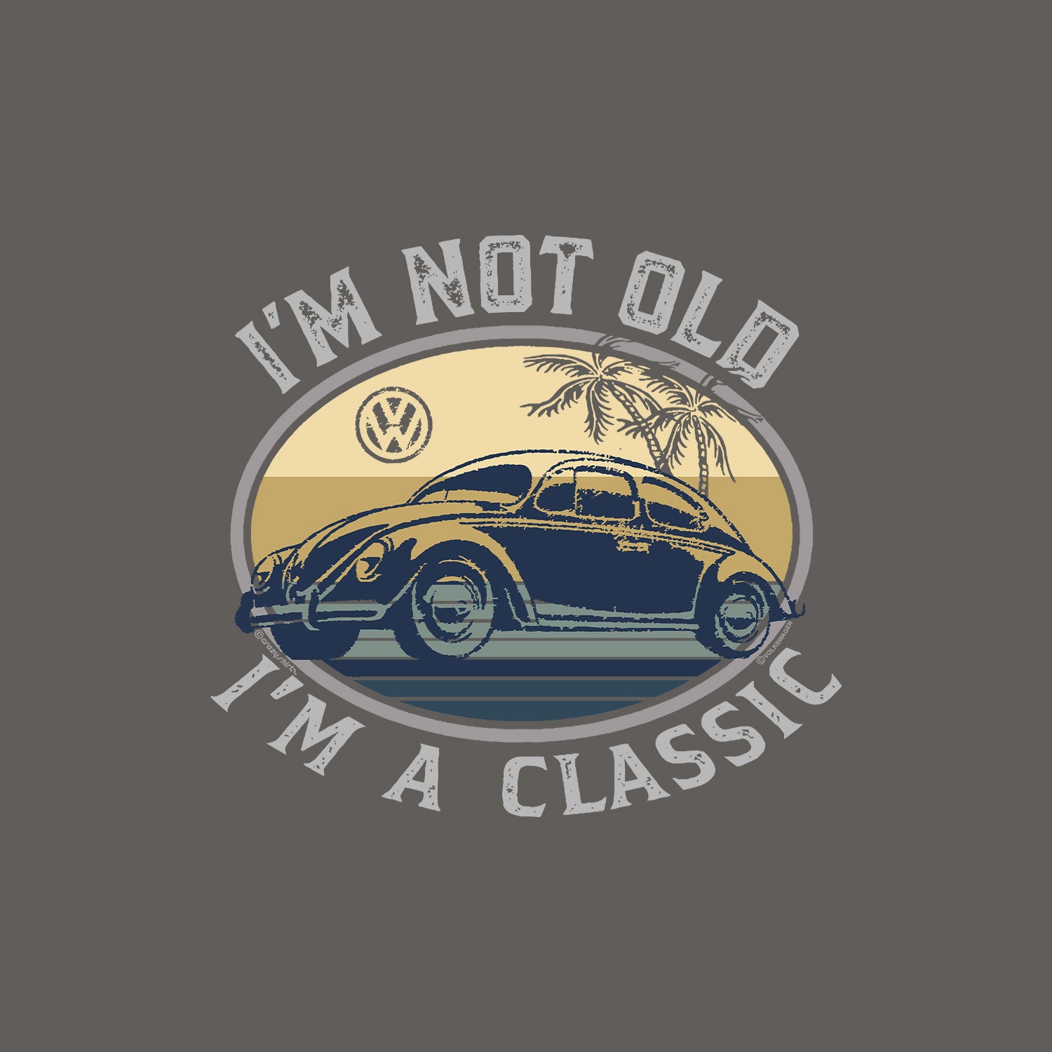 Vintage-style graphic with a Volkswagen Beetle and palm trees on a gray background.
