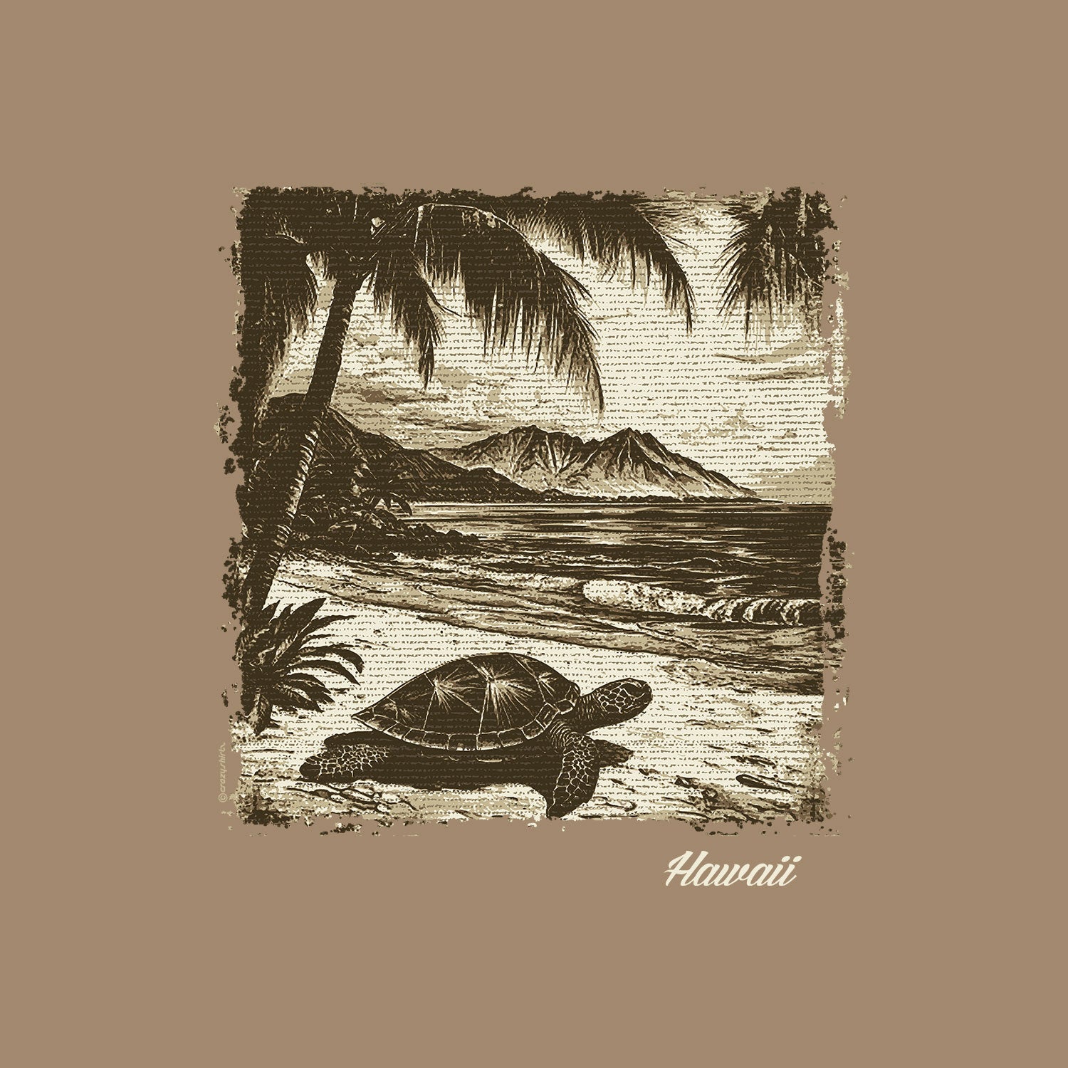 Vintage-style illustration of a turtle, palm trees, and mountains on a brown background with 'Hawaii' text.