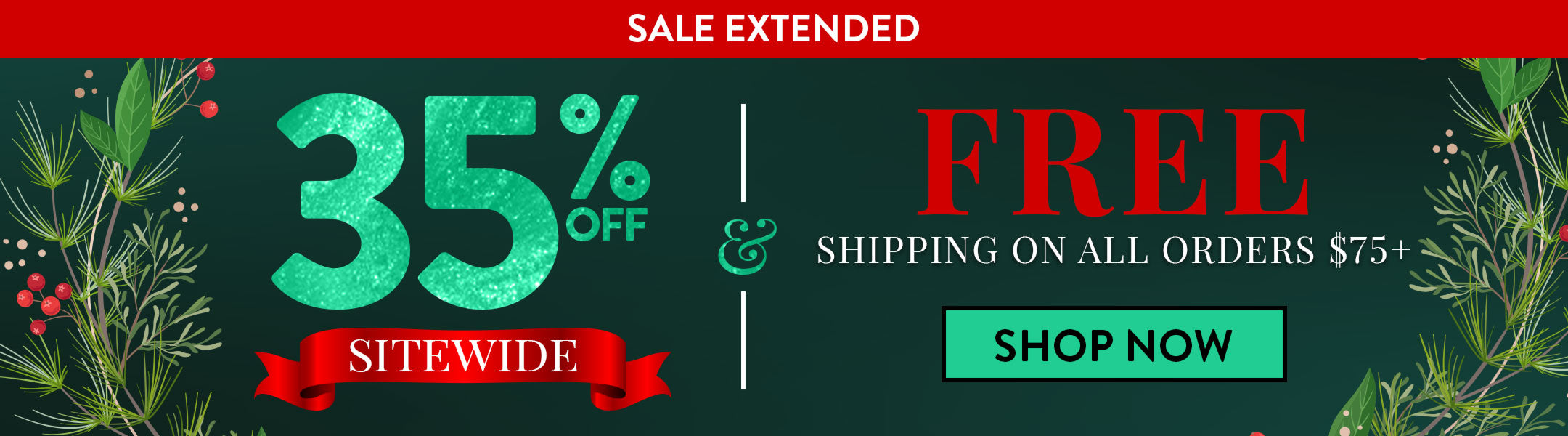Cyber Monday sale flyer with 35% off and free shipping offer on a green and red background.