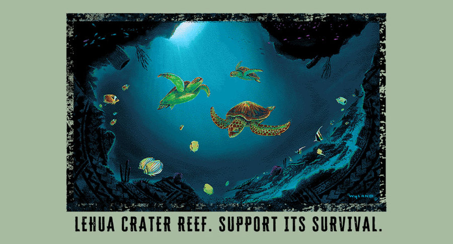 Underwater scene with turtles and fish in a cave, featuring text about Lehua Crater Reef.